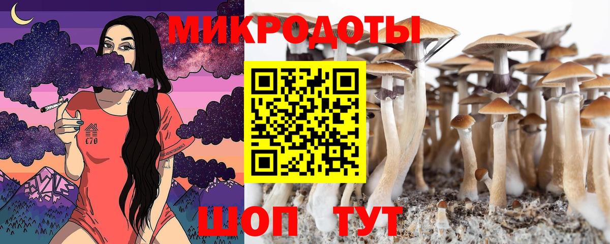 Тулун  Псилоцибиновые грибы GOLDEN TEACHER  Вход с VPN 