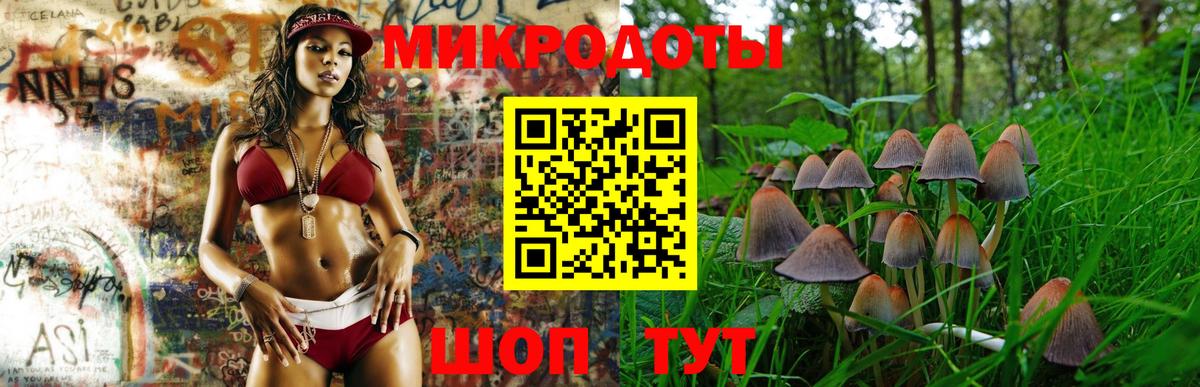 Галлюциногенные грибы ЛСД Тулун